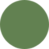 Color Image
