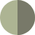 Color Image