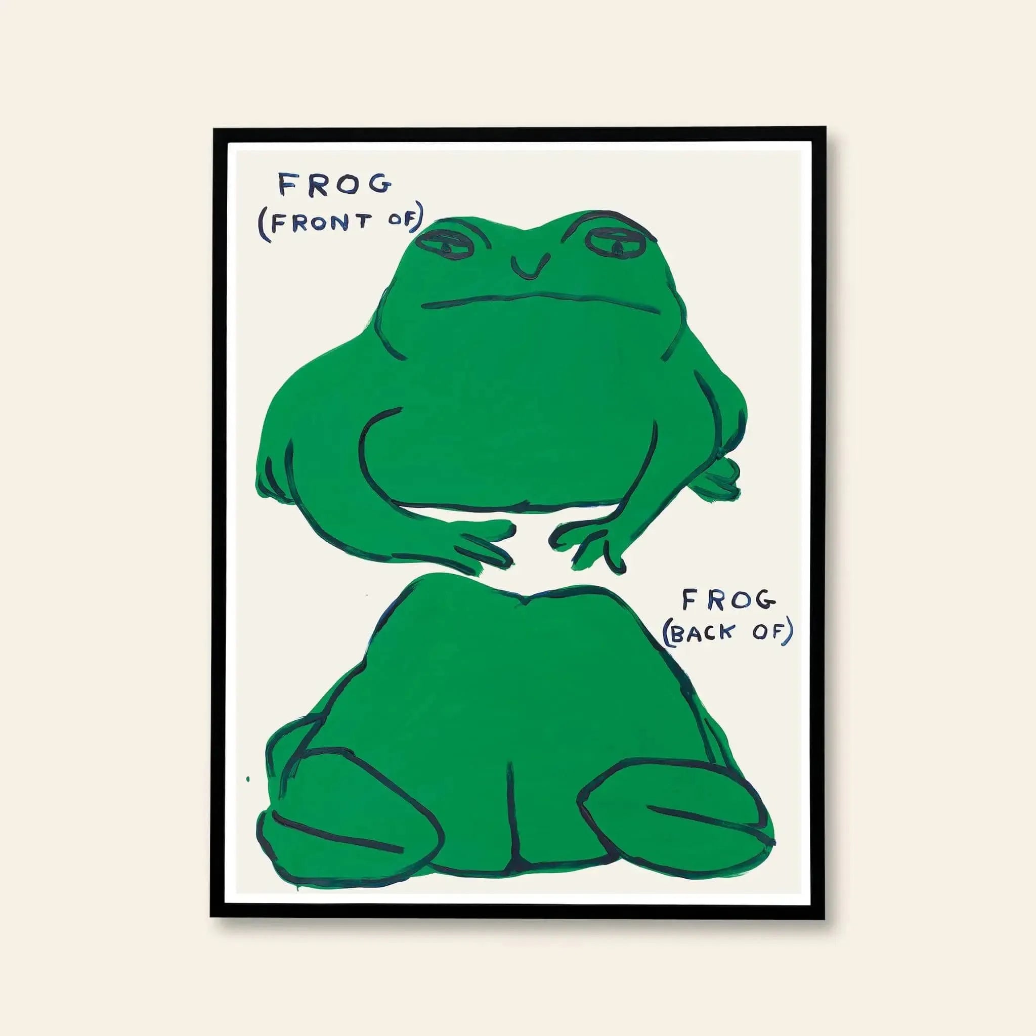 Shrig Shop David Shrigley - Frog (Front Of), Frog (Back Of) (60x80)