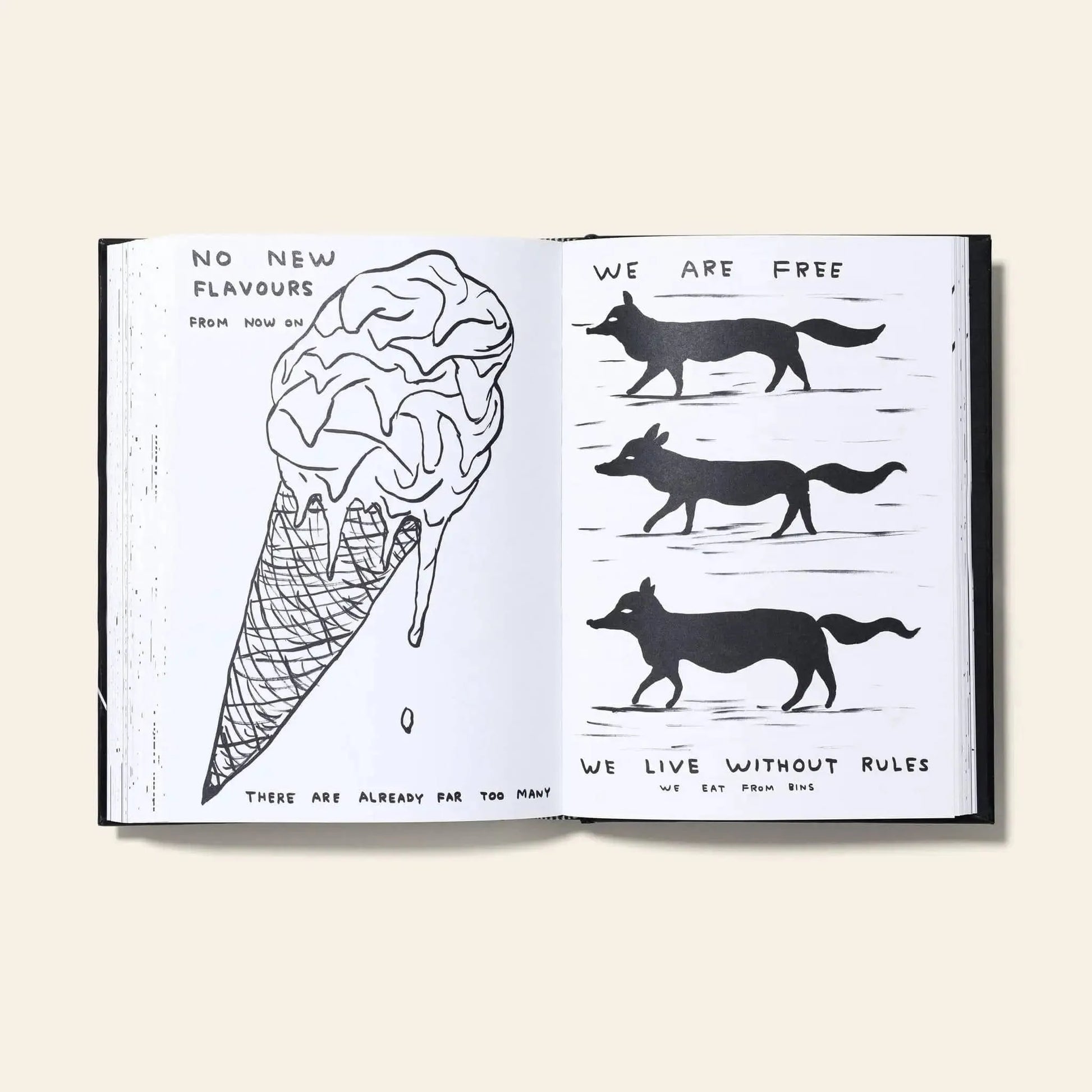 The Shrig Shop’s I Am The Jug You Are The Glass book by David Shrigley features a melting ice cream cone and NO NEW FLAVOURS, plus four wolf drawings with the phrases WE ARE FREE and WE LIVE WITHOUT RULES—a limited edition.