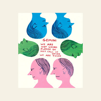 Shrig Shop’s “David Shrigley - Signs Of The Zodiac (61x91.5)” poster features three pairs of identical faces in blue, green, and pink with central text: Gemini. A quirky zodiac print for astrology lovers.