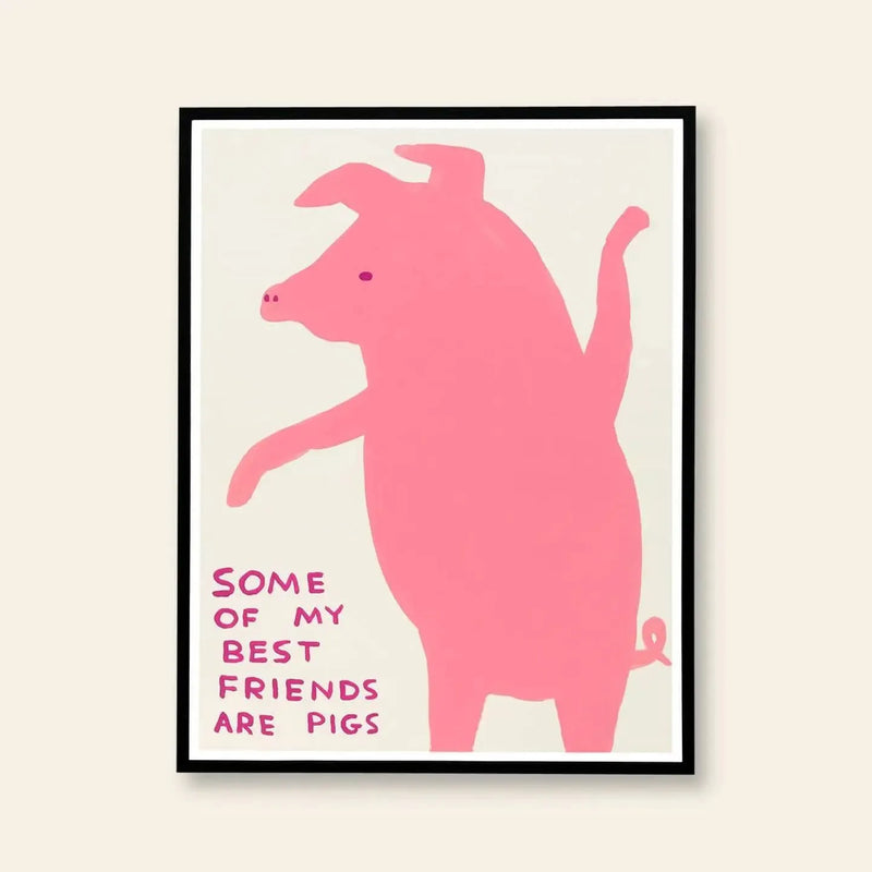 Shrig Shop David Shrigley - 我最好的朋友中有一些是猪 (60x80)