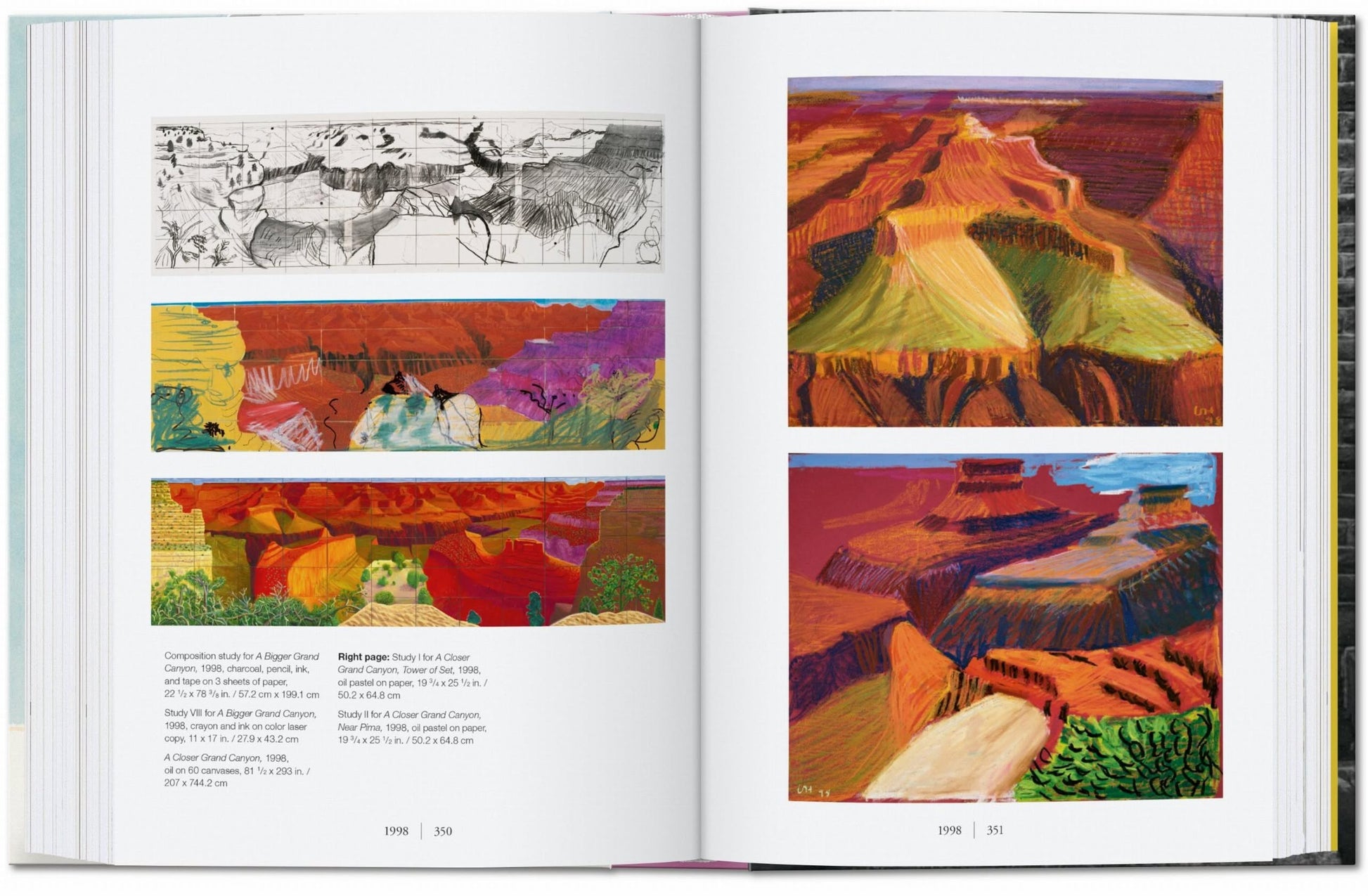 The TASCHEN David Hockney: A Chronology book by TASCHEN features black and white animal sketches on the left and four vibrant, abstract Grand Canyon landscapes on the right, inspired by Hockney’s bold lines and vivid colors.