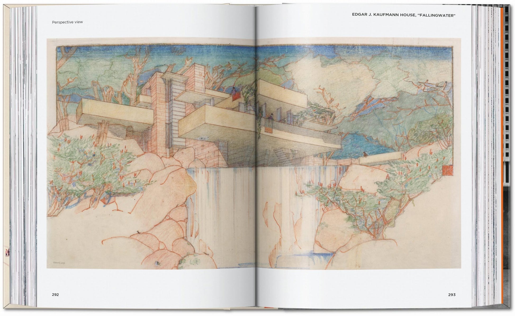 An open TASCHEN Frank Lloyd Wright book by TASCHEN showcases a vivid architectural drawing of Fallingwater, the iconic house above a waterfall, illustrating Wright’s seamless blend of architecture and nature.
