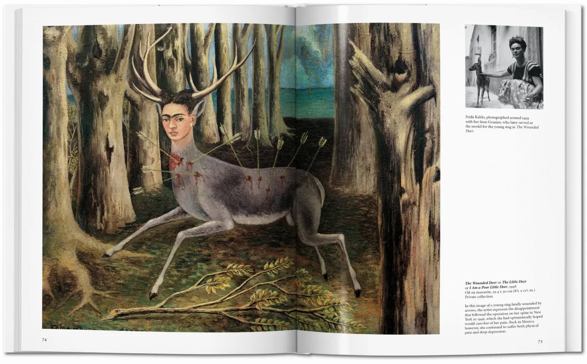 TASCHEN Kahlo