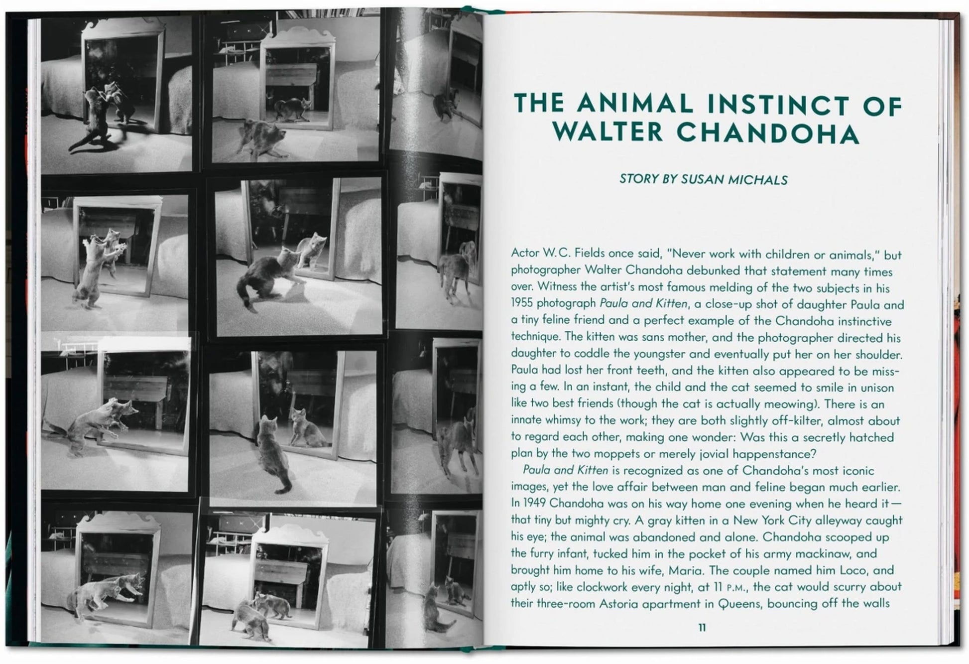An open TASCHEN Walter Chandoha. Cats. Photographs 1942-2018 book shows black-and-white cat photography of a girl with a cat on a couch, plus an article titled The Animal Instinct of Walter Chandoha by Susan Michals.