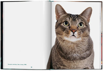 An open spread of TASCHEN’s Walter Chandoha. Cats. Photographs 1942-2018 shows a striking close-up of a green-eyed tabby cat on the right, with the left page blank—a testament to Chandoha’s feline portraiture.