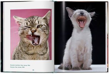 An open TASCHEN Walter Chandoha. Cats. Photographs 1942-2018 book shows a tabby squinting with its tongue curled on the left and a Siamese kitten yawning on the right—classic feline portraits from TASCHEN.