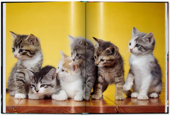 TASCHEN Walter Chandoha. Cats. Photographs 1942-2018