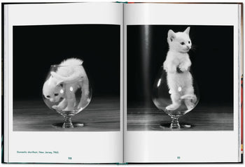 From TASCHENs Walter Chandoha. Cats. Photographs 1942-2018: two black-and-white feline portraits—a fluffy white kitten in a wine glass, curled up in one image and standing to peer out in the other—showcasing iconic cat photography.