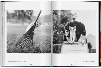 TASCHEN Walter Chandoha. Cats. Photographs 1942-2018