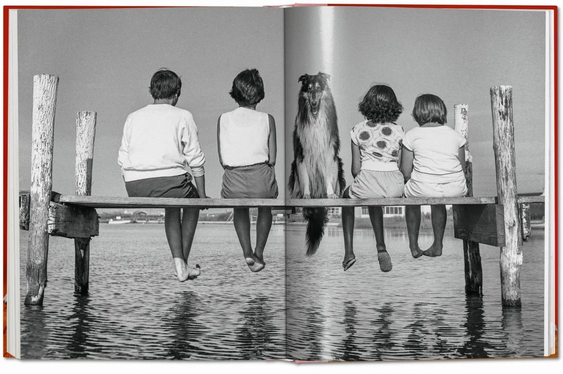 A black-and-white photo from TASCHEN Walter Chandoha. Dogs. Photographs 1941-1991 shows four children and a dog side by side on a wooden dock, gazing at calm water—a classic moment in dog photography by TASCHEN.