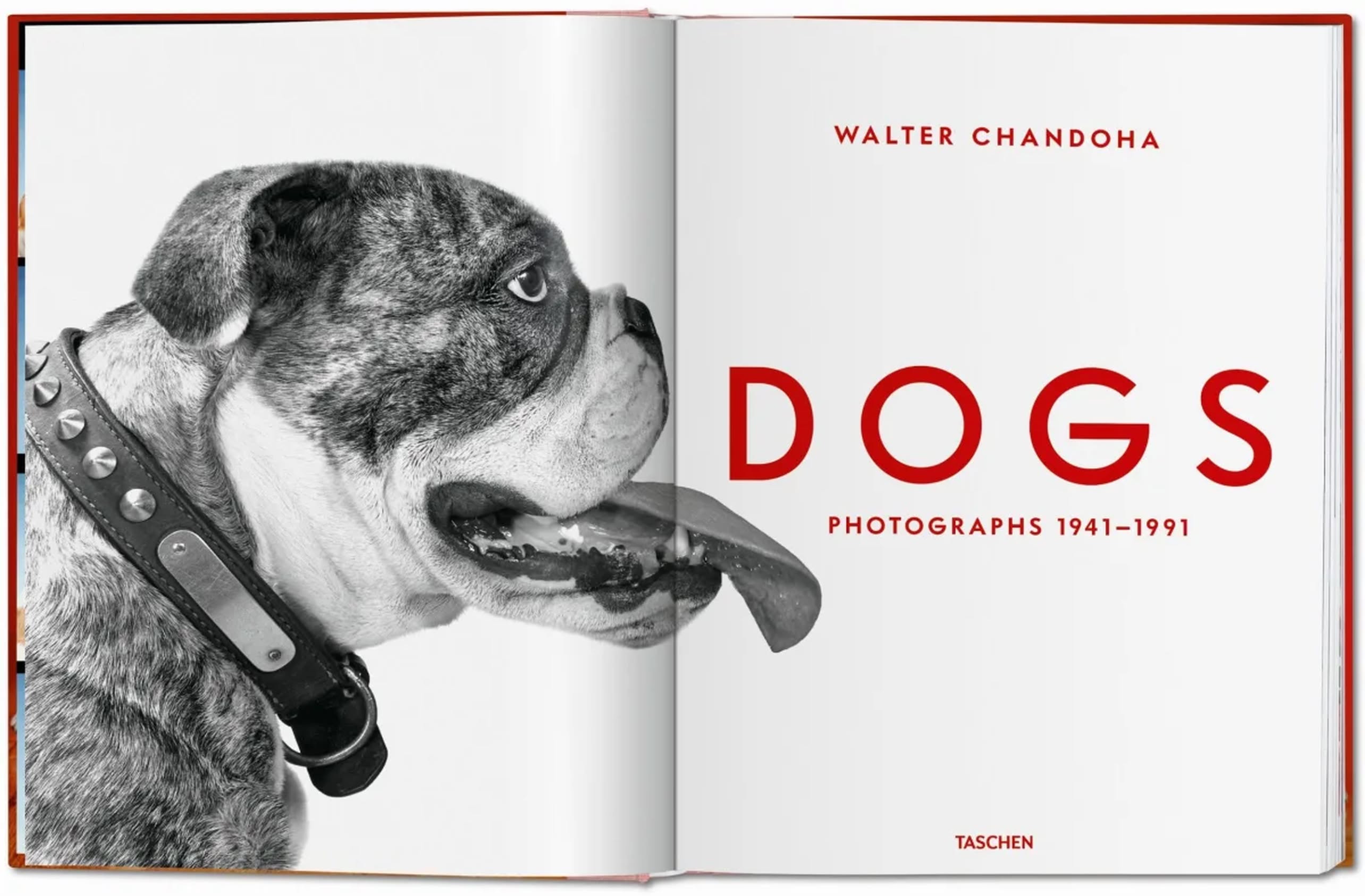 TASCHEN Walter Chandoha. Dogs. Photographs 1941-1991