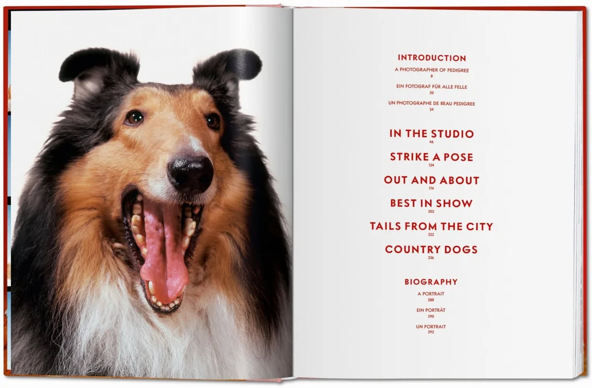 An open TASCHEN book, Walter Chandoha. Dogs. Photographs 1941-1991, shows a joyful rough collie photo on the left page and a red table of contents with section titles on the right.