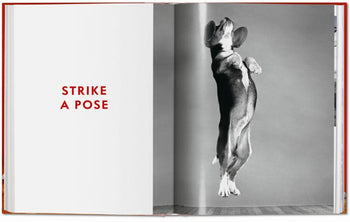 On the right page of TASCHENs Walter Chandoha. Dogs. Photographs 1941-1991, a black and white photo captures a dog standing on its hind legs, while STRIKE A POSE appears in bold red on the left—showcasing TASCHENs artistry.