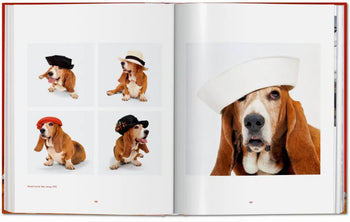An open book from TASCHEN, Walter Chandoha. Dogs. Photographs 1941-1991, displays images of a basset hound in different hats—a beret, sun hat, and sailor cap—against a white background, highlighting the breed’s distinctive features.