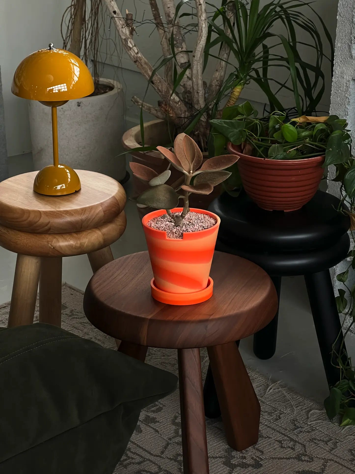 A small brown Kalanchoe Copper Spoon in an orange pot sits on a wooden stool next to a yellow lamp and a leafy green plant in The 3 Keys Dirty Pot Collaboration by The 3 Keys, creating a cozy home decor vibe.