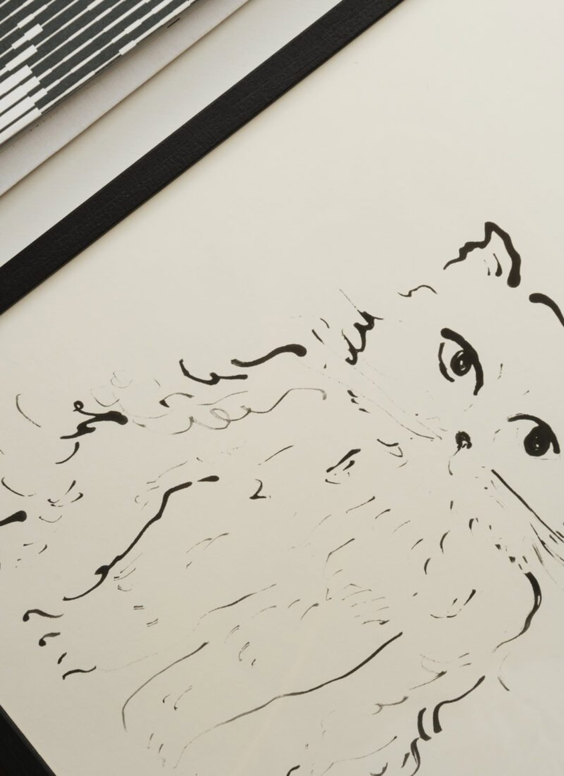 A minimalist black ink drawing of a fluffy wide-eyed cat on white paper with a black border, The Poster Club Oamul - Cat (50x70) Poster is seen at an angle with part of another striped object in the corner—a unique art print by The Poster Club.