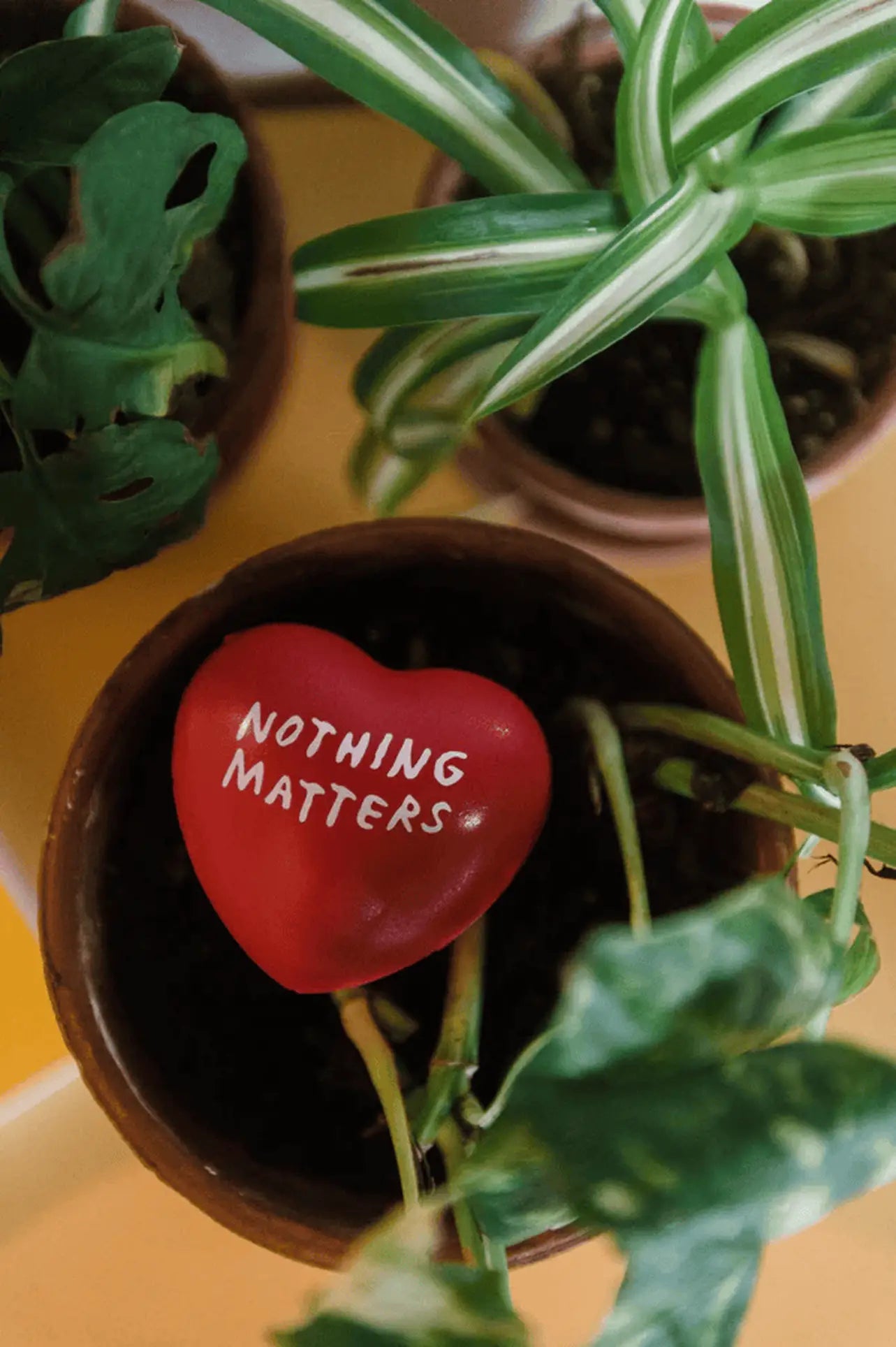 Third Drawer Down Adam JK - Nothing Matters Stress Toy