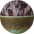 Valley