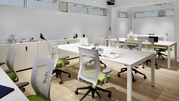 A modern, bright office with white walls, white desks, and green chairs. Large windows and light wooden floors complement stylish storage like the Vitra Rotary Tray by Vitra for organizing your belongings on desks and cabinets.