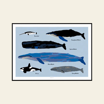 WARMGREY TAIL Whales Poster (30x40)