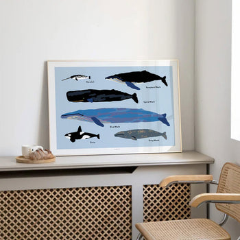 WARMGREY TAIL Whales Poster (30x40)
