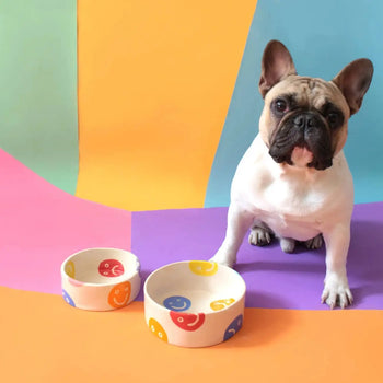 A French Bulldog sits on a vibrant background beside two Wobbly Studio Doggo Bowls, including the Bigger size, each featuring unique multicolour faces.