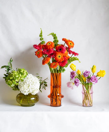 Three vases with flowers—each a bold, colorful floral arrangement from Wonderland Botanicals Paprika - Wonderland Botanicals Collaboration—make a perfect dining table showpiece, set against a white background for striking effect.