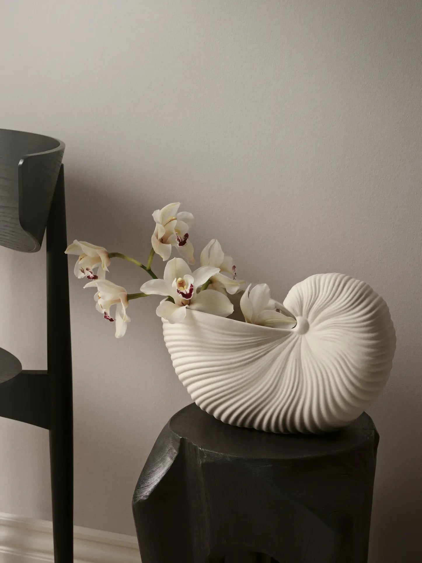 The ferm LIVING Shell Pot holds white orchids on a dark, sculptural stool beside a sleek black chair, highlighting modern style against a light wall.