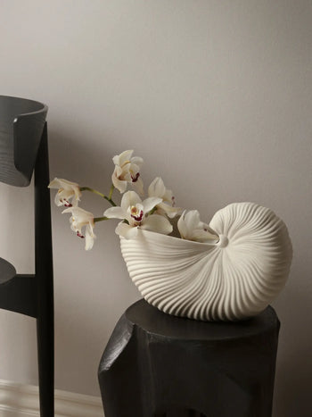The ferm LIVING Shell Pot holds white orchids on a dark, sculptural stool beside a sleek black chair, highlighting modern style against a light wall.