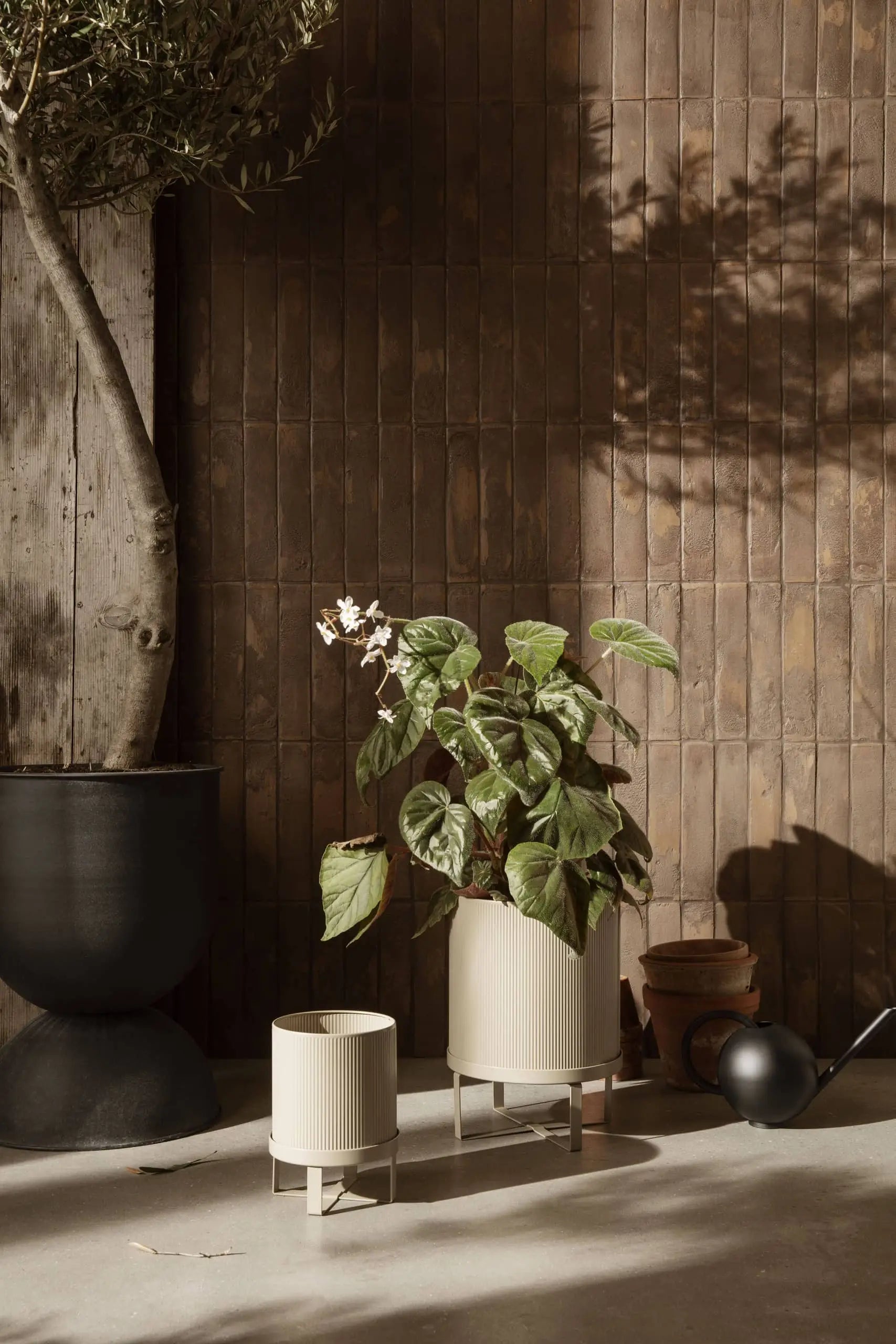 A sunlit indoor scene with potted plants on a concrete floor, including a tall plant in the ferm LIVING Bau Pot, Small, plus leafy green plants in cream ribbed planters, stacked terracotta pots, and a black watering can.