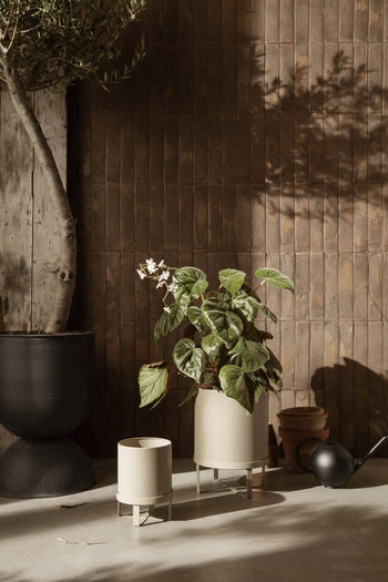 A sunlit indoor scene with potted plants on a concrete floor, including a tall plant in the ferm LIVING Bau Pot, Small, plus leafy green plants in cream ribbed planters, stacked terracotta pots, and a black watering can.