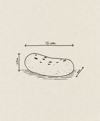 The ferm LIVING Vanitas Flower Stone by ferm LIVING is a black and white sketch of an oval object with small dots, measuring 12 x 5.5 x 3.5 cm, shown with hand-drawn arrows for each dimension—ideal as a glazed porcelain accent in modern spaces.