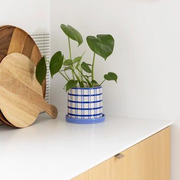 &klevering Clash Grid Planter Multicolour