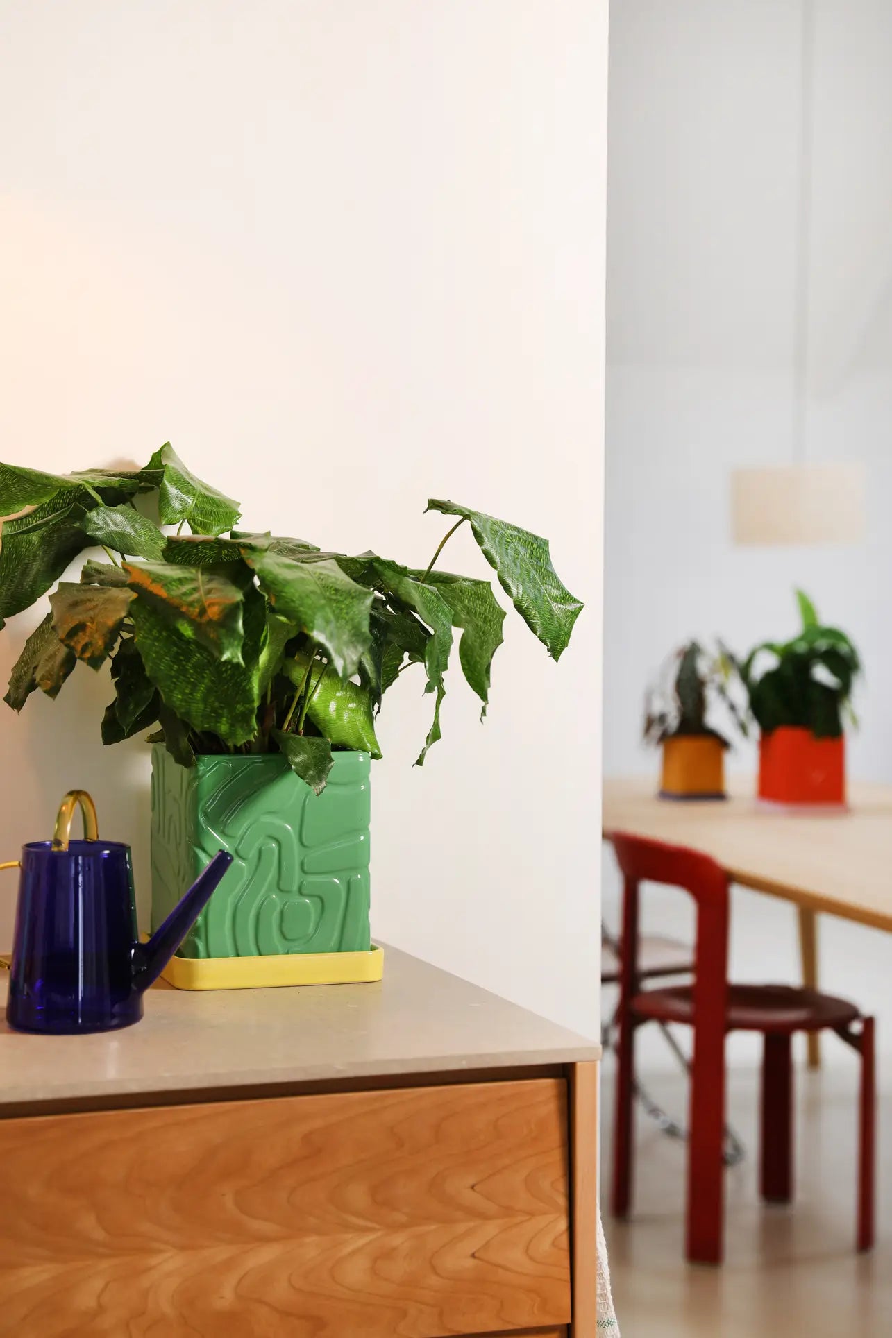 The &klevering Tribe Planter (Green) from &klevering sits on a wooden surface beside a blue watering can; in the sunlit background, a dining table with red chairs and another planter brighten the room.