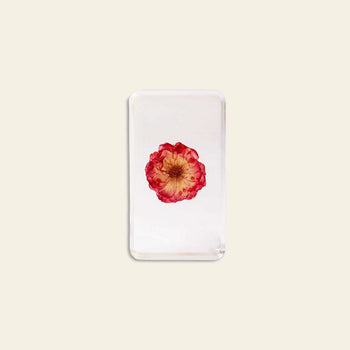 &klevering Wildflower Cube Large China Rose