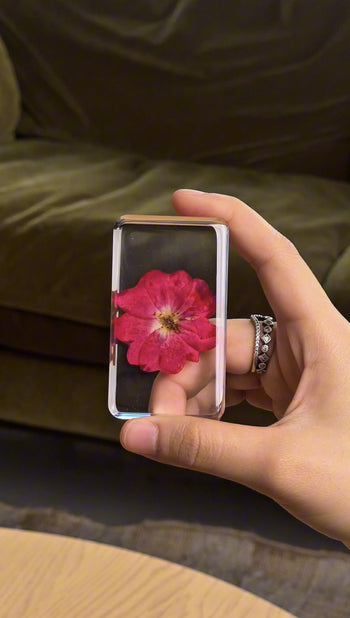&klevering Wildflower Cube Large China Rose