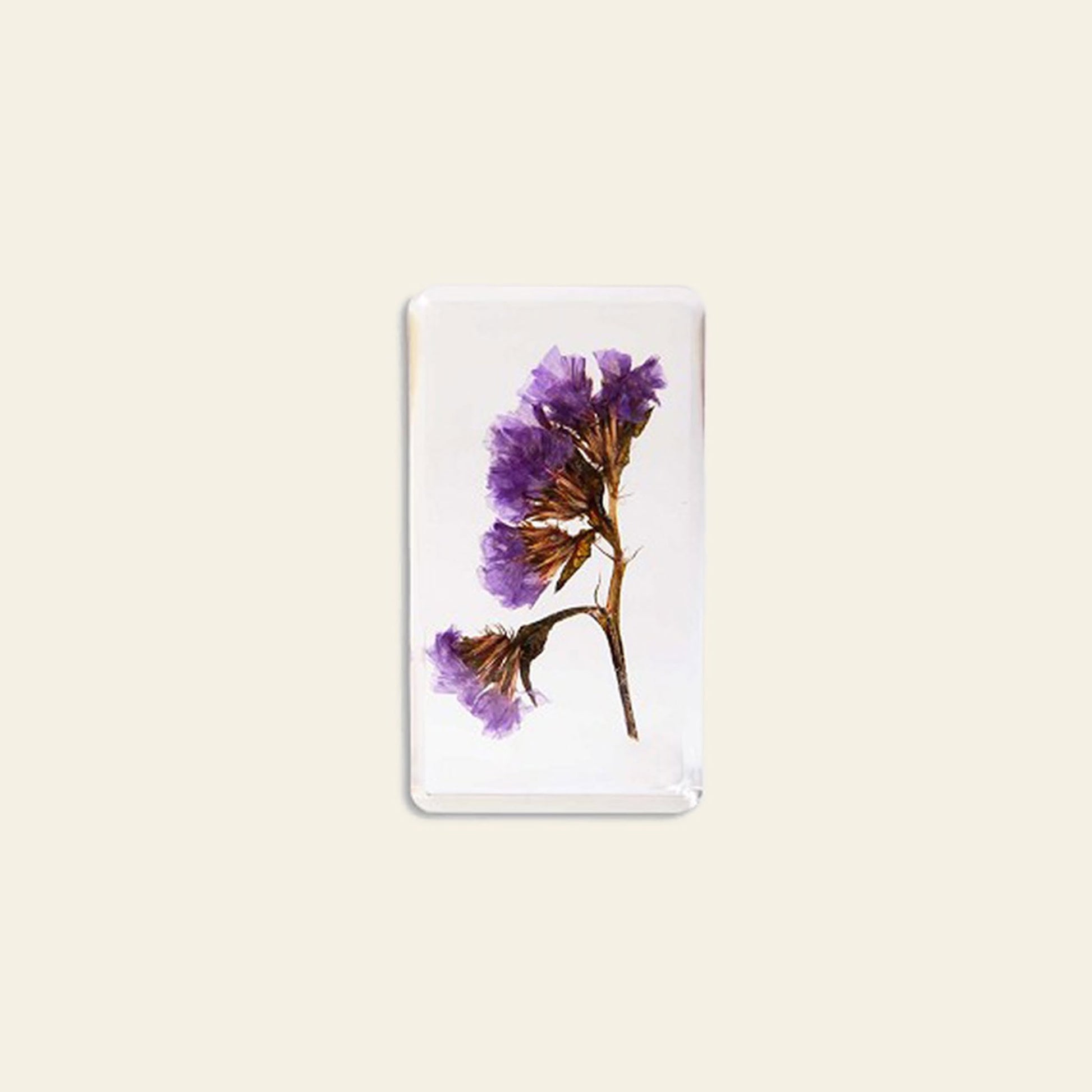 &klevering Wildflower Cube Large Forget-Me-Not