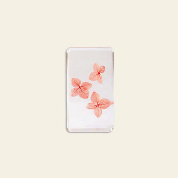 &klevering Wildflower Cube Large Pink Hydrangea Trio